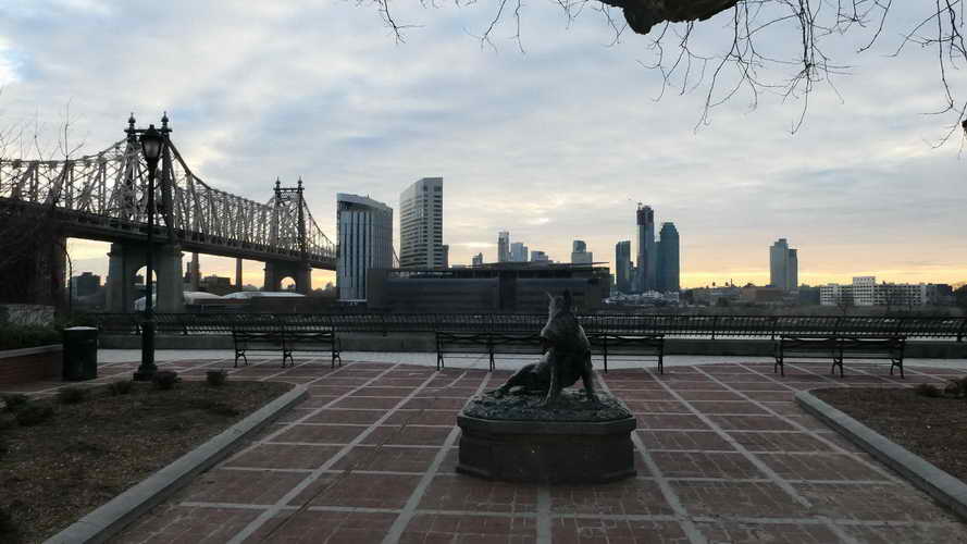 NYC_2020-01-27 07-46-17_P1070736
